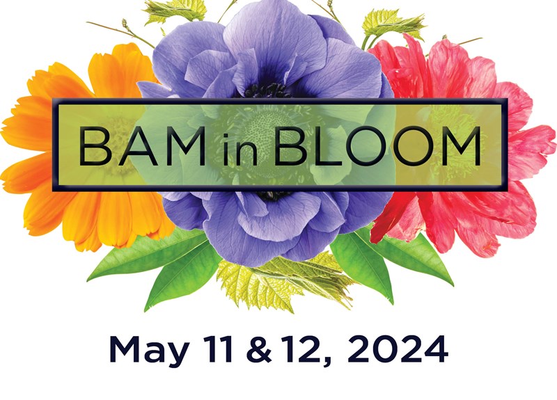 BAM in Bloom